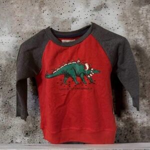 Cozy and Cute: Two-Piece Kids Dinosaur Pajama Set for a Roaring Good Time!